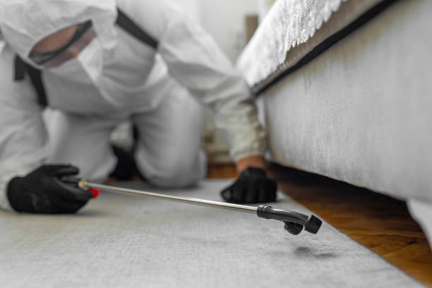 Professional Pest Control technician working in Converse, IN