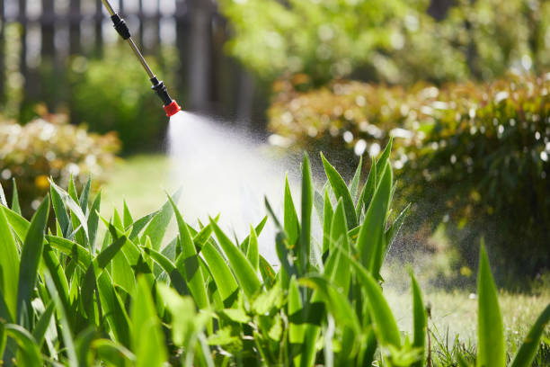 24/7 Emergency Pest Control experts in Converse, IN